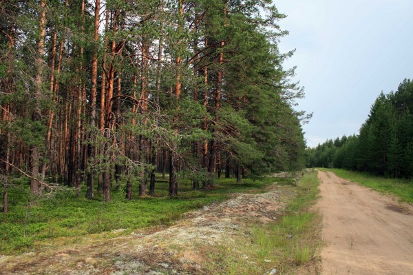 Krajina cestou do Archangelska