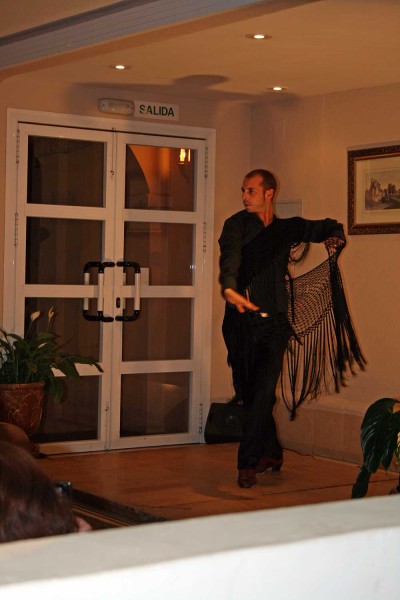 Flamenco show